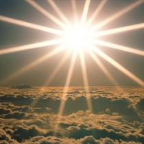 sole