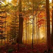 autunno