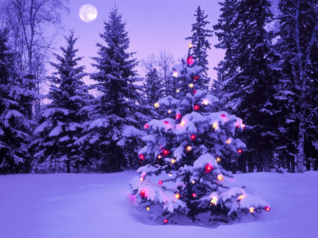 natale_albero_solitario